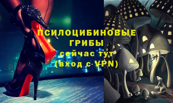 мяу мяу мука Рославль