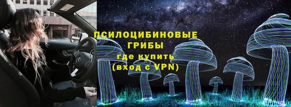 a pvp Ростов