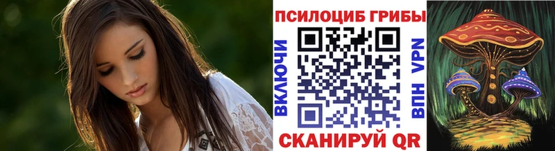 Псилоцибиновые грибы Psilocybine cubensis  Чусовой 